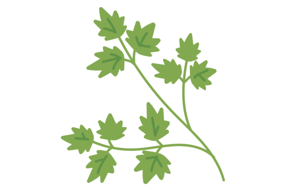 Download Parsley Icon. Green Cooking Ingredient. - Cook Collection