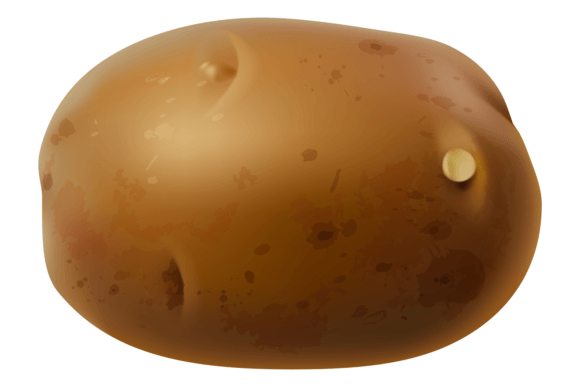 Download Raw Potato. Uncooked Food Ingredient. Na - Cook Collection