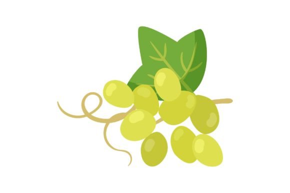 Download Cooking Oil Ingredient Vector Illustrati - Cook Collection